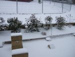 terrasse 03-01-10.jpg