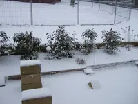 terrasse 03-01-10.webp