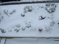 Vorgarten zugeschneit.webp