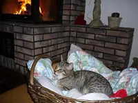 P1020253.webp