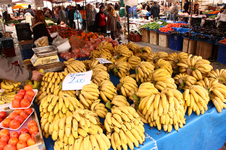 IMG_4171.webp