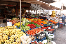 IMG_4828.webp
