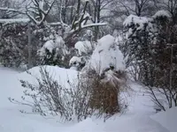 SANY0138.webp