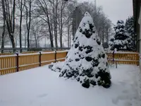SANY0136.webp