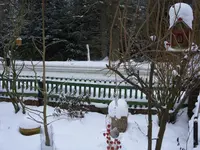 SDC11979.webp