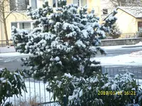 DSCI2352.webp