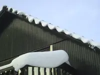 PIC00203.webp