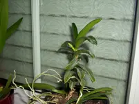 DSCI0255.webp