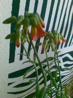 Bild097.webp