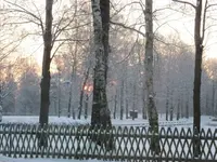 IMG_0003.webp