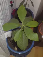 DSC00120.webp