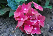 DSC_0160.webp