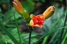 DSC_0002.webp