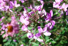 DSC_0148.webp