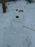 Schneemann.webp
