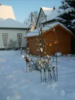 Schnee1.webp