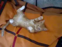 HNI_0026.webp