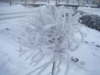 DSCF6099.webp