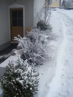 DSCF6095.webp