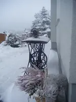 DSCF6117.webp