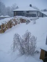 DSCF6121.webp