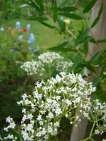 Rätsel 22.webp