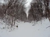 DSC00451.webp