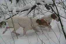 I&G_in tiefem Schnee.webp