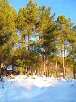 IMGP1560.webp