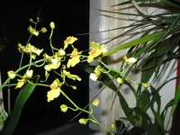 IMG_0039.webp