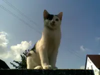 Bild102.webp