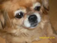 DSCI0984.webp