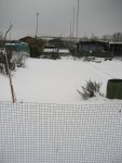 schnee 2010 Garten 007.jpg