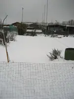 schnee 2010 Garten 007.webp
