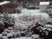 DSC00234.webp