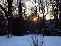 DSC00275.webp