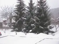 004.webp