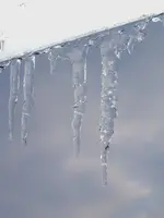 DSCF3920.webp
