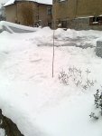 Garten 2010 012.jpg