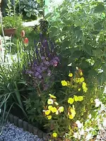 DSC00011.webp