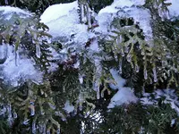 Bild 053.webp