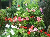 DSC00037 [50%].webp
