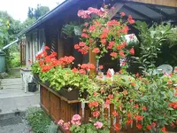 DSC00081 [50%].webp