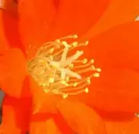 Bild 005.webp