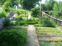 Garten Ende Mai.webp