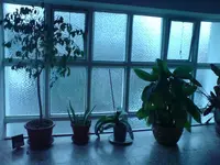 DSC00624.webp