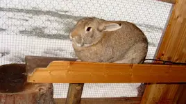 11.webp
