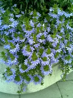 18082007.webp