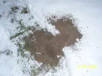 100_2276.webp