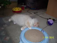 100_2271.webp